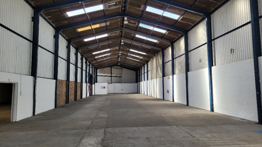 To Let Commercial Property for Rent in Epping Industrial Western Cape